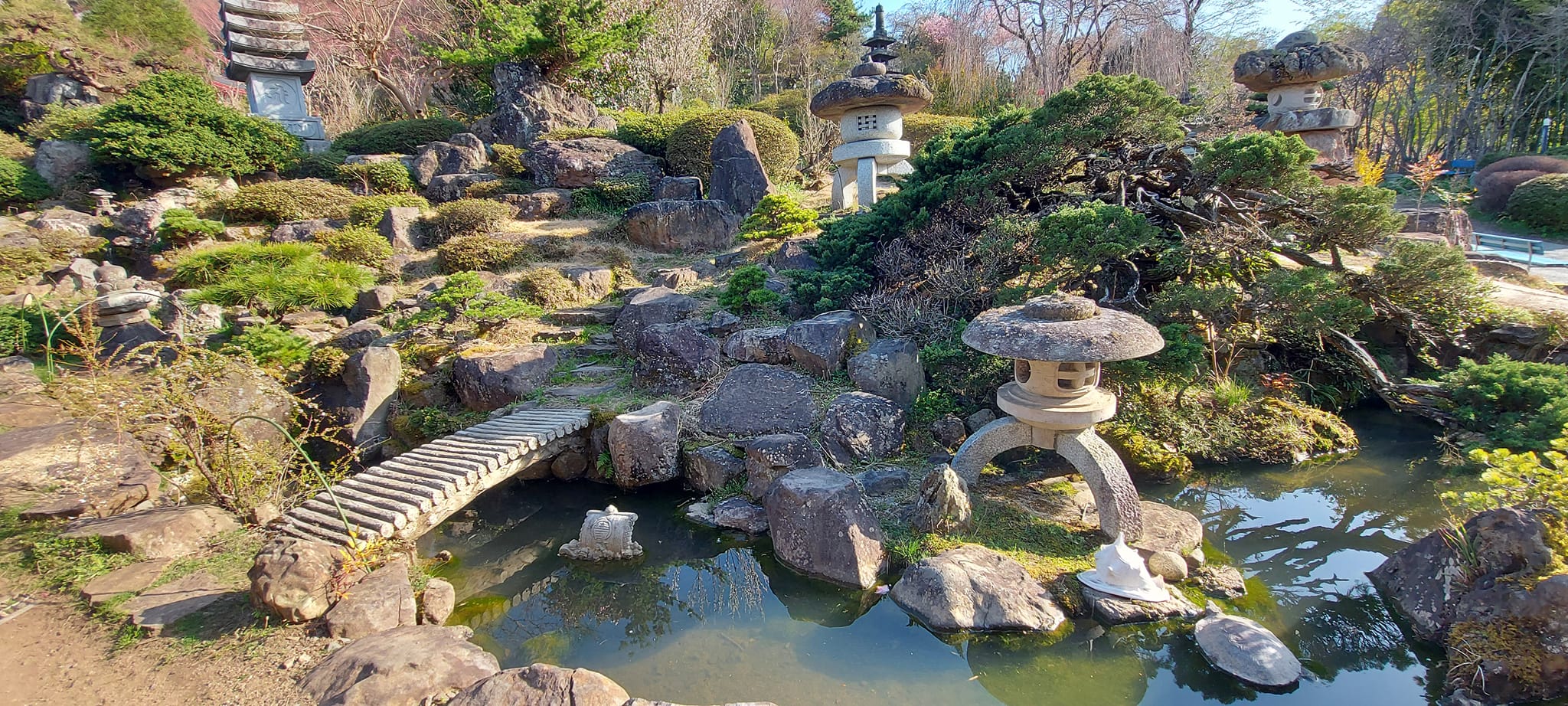 Japán kert és tó