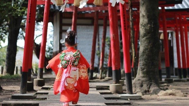 shichigosan2